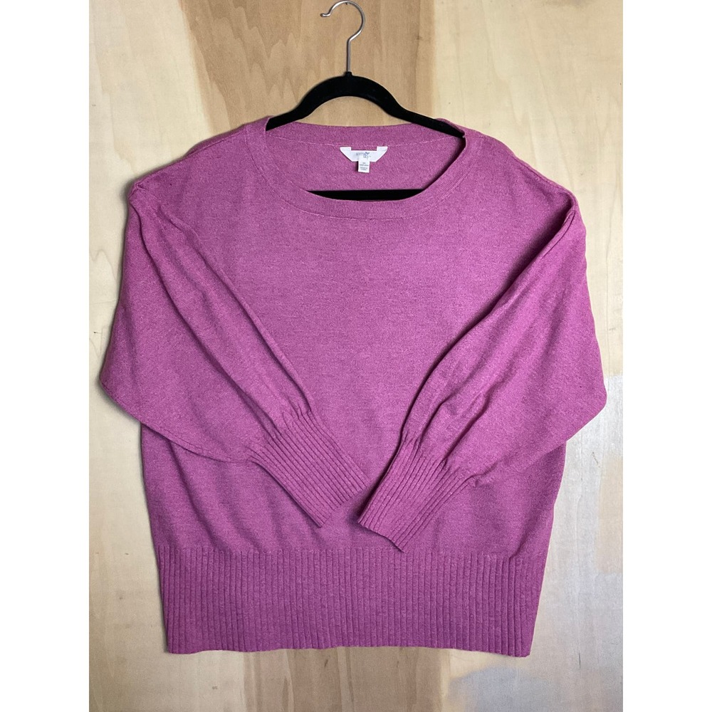 Terra‎ And Sky Sweater Womens 1X
